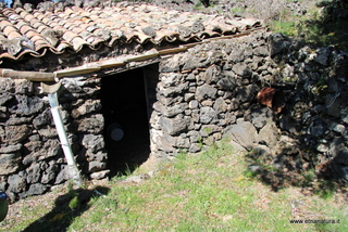 Cipollazzo